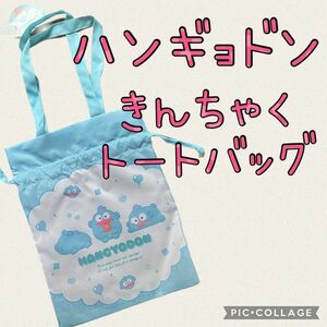 ハンギョドン　保冷保温巾着トートバッグ 内側アルミ蒸着シルバー 巾着袋 サンリオ