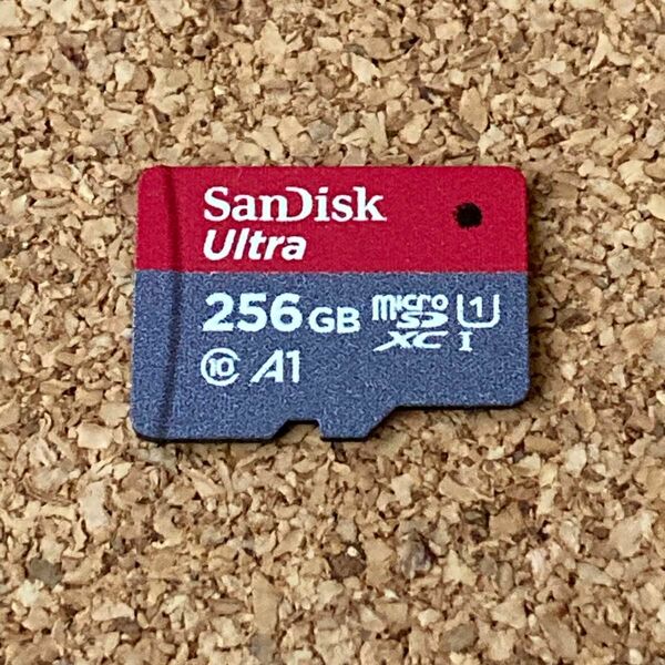 正規品 SanDisk microSDカード 256GB 大容量 サンディスク