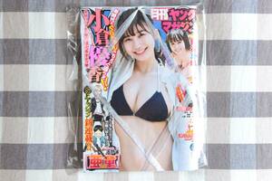 月刊ヤングマガジン 小倉優香 新谷真由 2019年6月号/新品 未開封 未読品