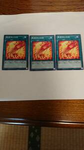  Yugioh phoenix god. feather normal 3 sheets postage 63 jpy 
