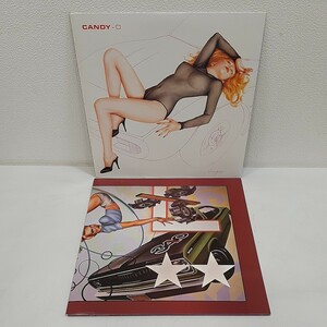 LP カーズ THE CARS 2枚セット/Candy-O(キャンディ・オーに捧ぐ) 5E-507/Heartbeat City(ハートビート・シティ) 60296-1/レコード