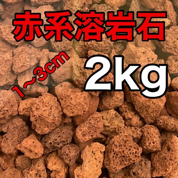 中国産 溶岩石 レッドロック2kg アクアリウム低床 ろ材 観葉植物 多肉植物