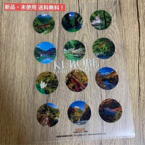 黒部峡谷鉄道 富山 クリアファイル 非売品 A4 特典 鉄道 トロッコ 宇奈月 旅行 ノベルティ 特典 グッズ 鉄道マニア 文房具