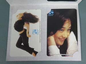 西田ひかる コンサート グッズ 1996年 24 two-four テレホンカード 50度数 2枚組★テレカ ツアー