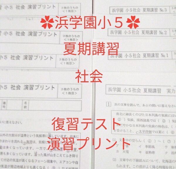 浜学園小5 夏期講習 社会 復習テスト 演習プリント