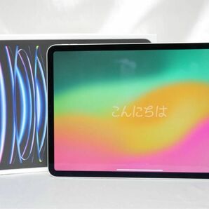 Apple iPad Pro 11インチ 第4世代 MNXE3J/A タブレット M2チップ 128GB シルバー 中古 