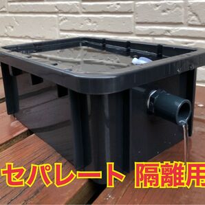 メダカ飼育ケース セパレート ブラック