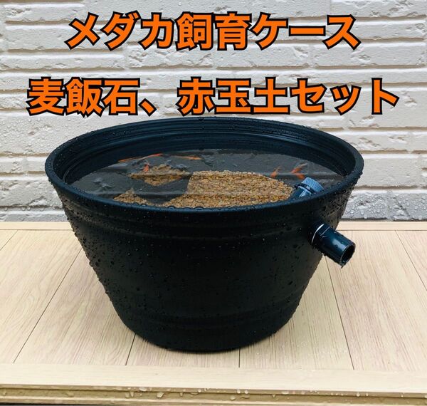 メダカ飼育ケース(麦飯石、赤玉土セット)