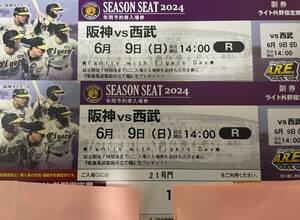 6月9日（日）阪神タイガースVS西武ライオンズ14時開始　送料無料 甲子園 ライト外野指定 2枚 連番 6/9