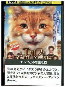 DVD エルフと不思議な猫 レンタル落ち MMM01229