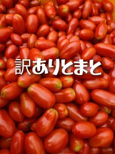 熊本県産「訳ありミニトマト4キロ」