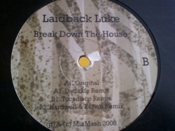 ハウス Laidback Luke / Break Down The House 12インチです。