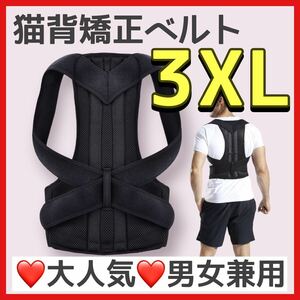 姿勢矯正ベルト 3XL 背中矯正 猫背 肩甲骨 肩凝り腰痛 男女兼用 S〜3XL姿勢サポーター 姿勢ベルト 背筋 