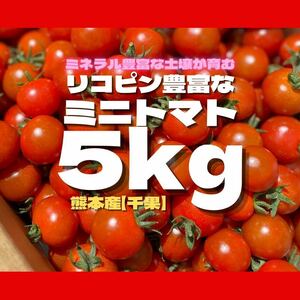  mini tomatoes 5 kilo vegetable Kumamoto bite . present side dish mineral Rico pin 