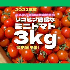 ミニトマト　3キロ　野菜　熊本産　地直送　弁当　おかず　トマト　ミネラ