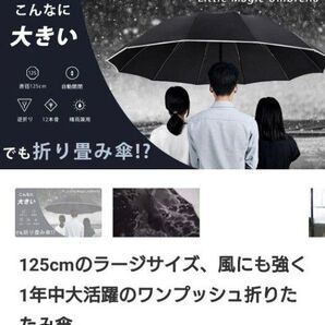 Makuake 折り畳み傘125cm 大判 ラージサイズ
