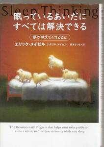 『眠っているあいだにすべては解決できる』　エリック・メイゼル 