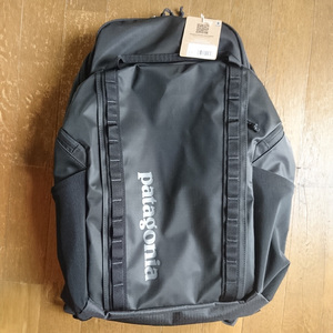 新品 patagonia パタゴニア バックパック デイパック リュック BLACK HOLE PACK 32L 49302