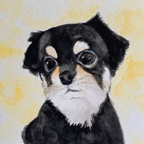 チワワ 水彩画 イラスト