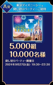 【はがき貼付済】はがき 懸賞 応募　東京ディズニーシー貸し切りパーティーご招待　リゾートパークチケット(ペア)　当たる　