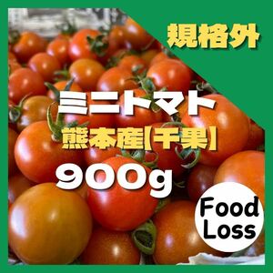 ミニトマト　フードロス　野菜　熊本産　規格外　訳あり 安い　ミネラル