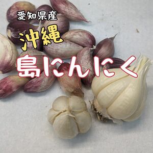 “切り分けて20粒でお届け！”愛知県産沖縄しまニンニク