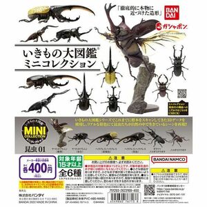 いきもの大図鑑ミニコレクション 昆虫01 レア含む全6種フルコンプ ヤマトカブトムシ ヘラクレス ギラファノコギリクワガタ フィギュア