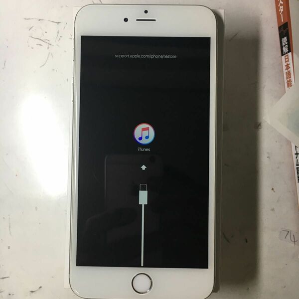(09) Apple iPhone 6plus
