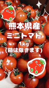 【 シーズン終了！感謝SALE☆ 】 熊本県産 完熟ミニトマト1kg