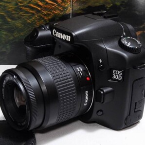 ★本格入門するならコレ★ Canon EOS 30D レンズキット オマケ多数♪