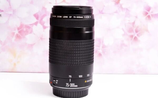 ★新品級★300mm超望遠レンズ★ CANON EF 75-300mm