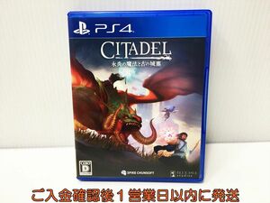 PS4 シタデル:永炎の魔法と古の城塞 ゲームソフト プレステ4 1A0226-602ek/G1