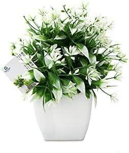 TOSSOW 人工観葉植物 造花 フェイクグリーン フェイク観葉植物 四方鉢 インテリア プレゼント 緑と白い