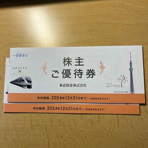 東武鉄道 株主優待券１冊(在庫2冊、入札１で１冊) 有効期限：2024年12月31日