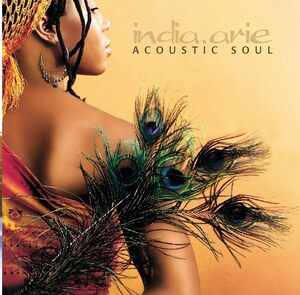 Acoustic Soul インディア.アリー 　輸入盤CD