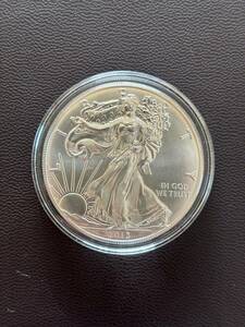 2013年アメリカ １オンス１ドル銀貨 ウオーキングリバティ