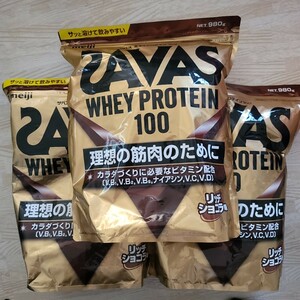  The bus whey protein 100 Ricci chocolate 