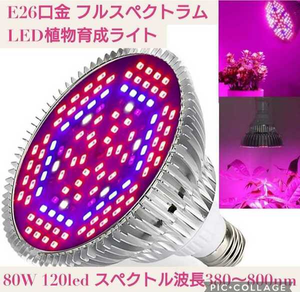 新品未開封☆LED植物育成ライト☆E26口金 80W 120led フルスペクトラム スペクトル波長380〜800nm 育成用ランプ 水耕栽培 室内用 省エネ