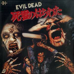 B00185269/【洋画】LD/ブルース・キャンベル「死霊のはらわた The Evil Dead (1985年・SF078-5044)」