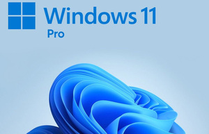 永久ライセンス Windows 11 Pro Office 2021 Professional Plus プロダクトキー セット 自作PC 中古ノートPC 等に