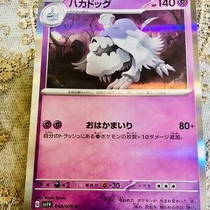未使用 ポケモンカード バイオレットex ハカドッグ R