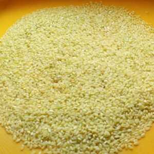 R5* pesticide * fertilizer un- use ( only . only ). made . rice * former times while. . tree dried Ise hikari 1kg