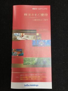 西武ホールディングス 株主優待券（1000株以上） 冊子のみ 株主優待券冊子 2024年11月30日まで 最新