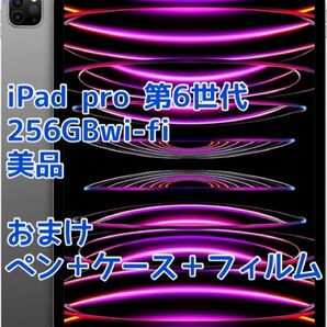 iPad Pro 12.9インチ 第6世代 256GB スペースグレイ Wi-Fiモデル Apple 美品