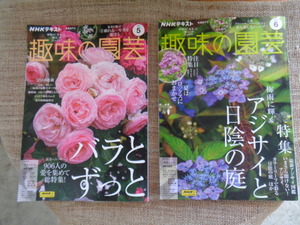 NHK■2024/5月・6月■趣味の園芸