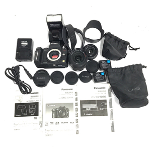 Panasonic DMC-GH1 LUMIX G 1:1.7/20 ASPH. ミラーレス一眼 デジタルカメラ セット 光学機器