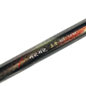 DAIWA 銀狼 王牙 AGS 1.2-53 磯竿 釣竿 釣具 フィッシング用品 QR062-100