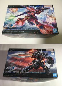 HG 1/144 ゲルググメナース (ルナマリアホーク専用機) &ブラックナイトスコードシヴァ [2点セット]