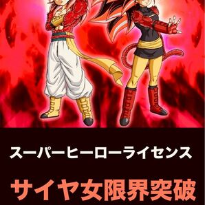 スーパードラゴンボールヒーローズ　サイヤ女　スーパーヒーローライセンス