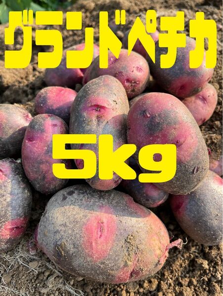 新じゃがいもグランドペチカ5kg